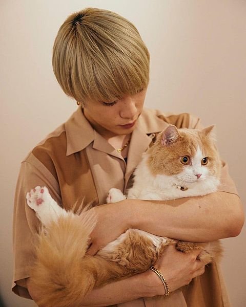 藤原樹