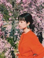 藤間爽子