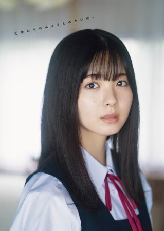 筒井あやめ