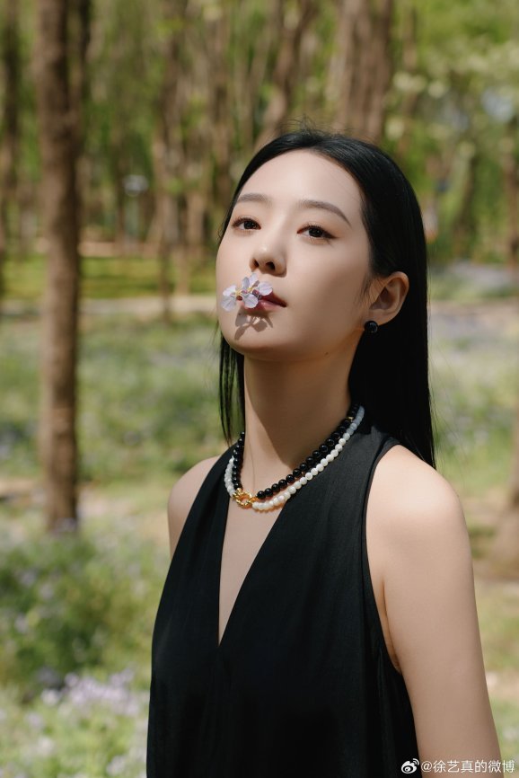 Сюй И Чжэнь / Xu Yi Zhen