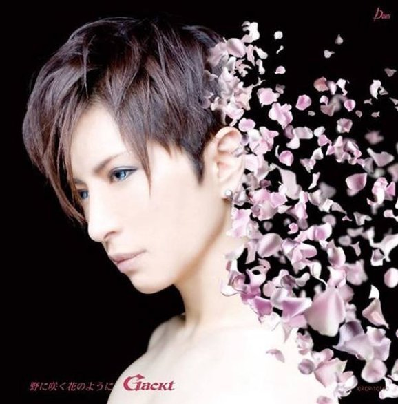 Гакт Камуи / Gackt Camui