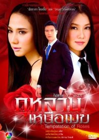 Розы над облаками (2009)