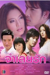 В плену любви (2008)