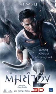 Честь дракона 2 (2013)