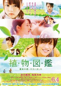 Вечнозелёная любовь (2016)