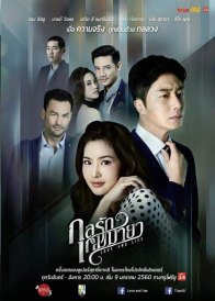 Любовь и ложь (2017)