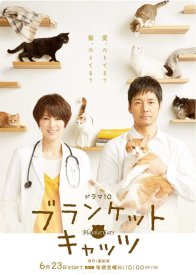 Коты в одеялках (2017)