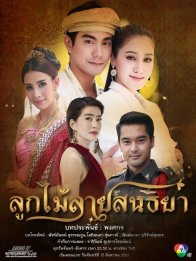 Кружева с сумеречным узором (2018)