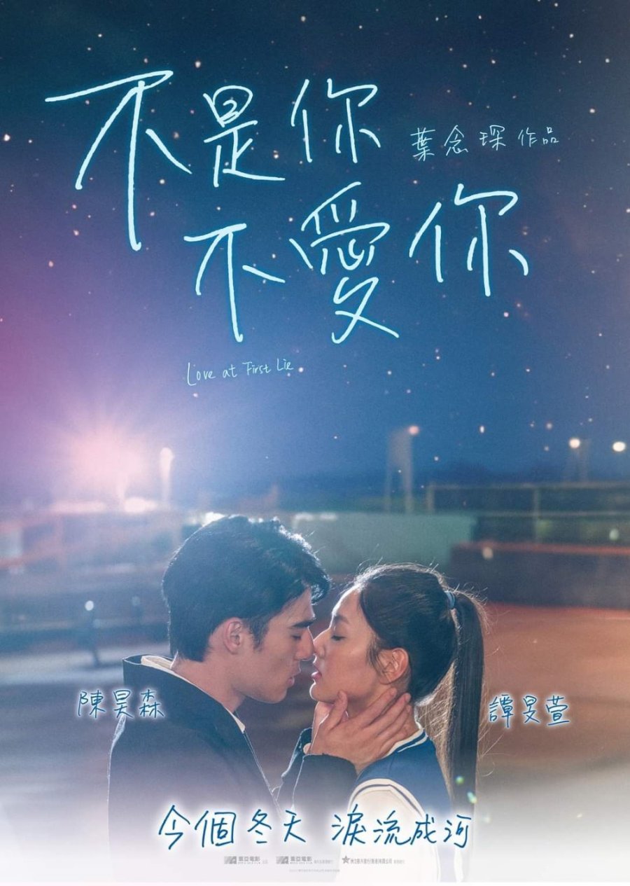 Любовь начавшаяся со лжи (2024)