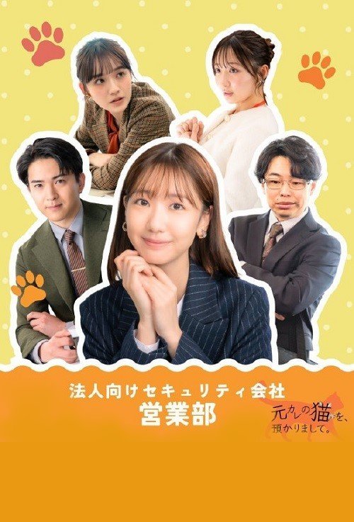 Кот моего бывшего (2026)