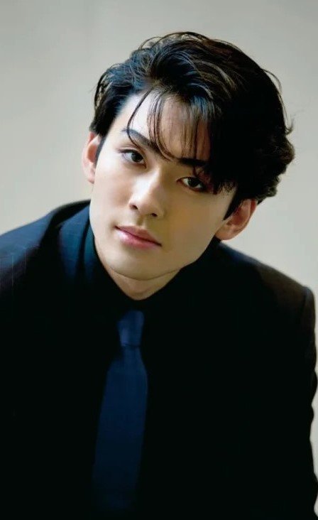 Итикава Сомегоро VIII / Ichikawa Somegoro VIII