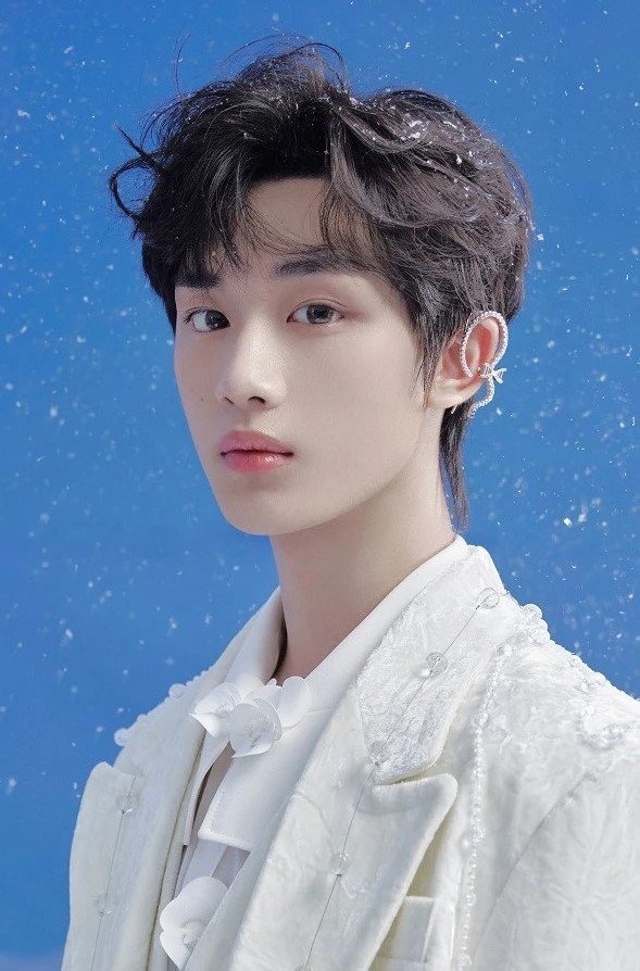 Дин Чэн Синь / Ding Cheng Xin