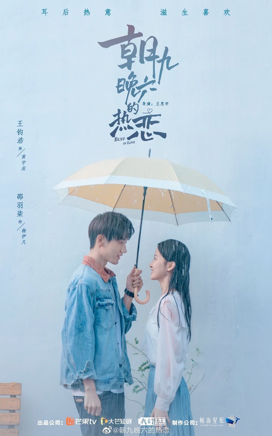 Влюбленный фанат (2022)