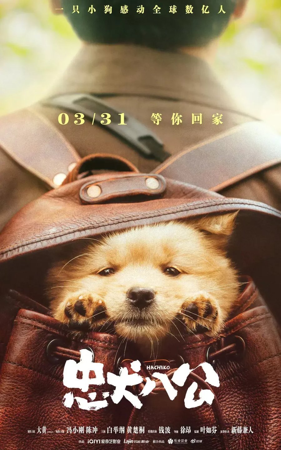 忠犬八公