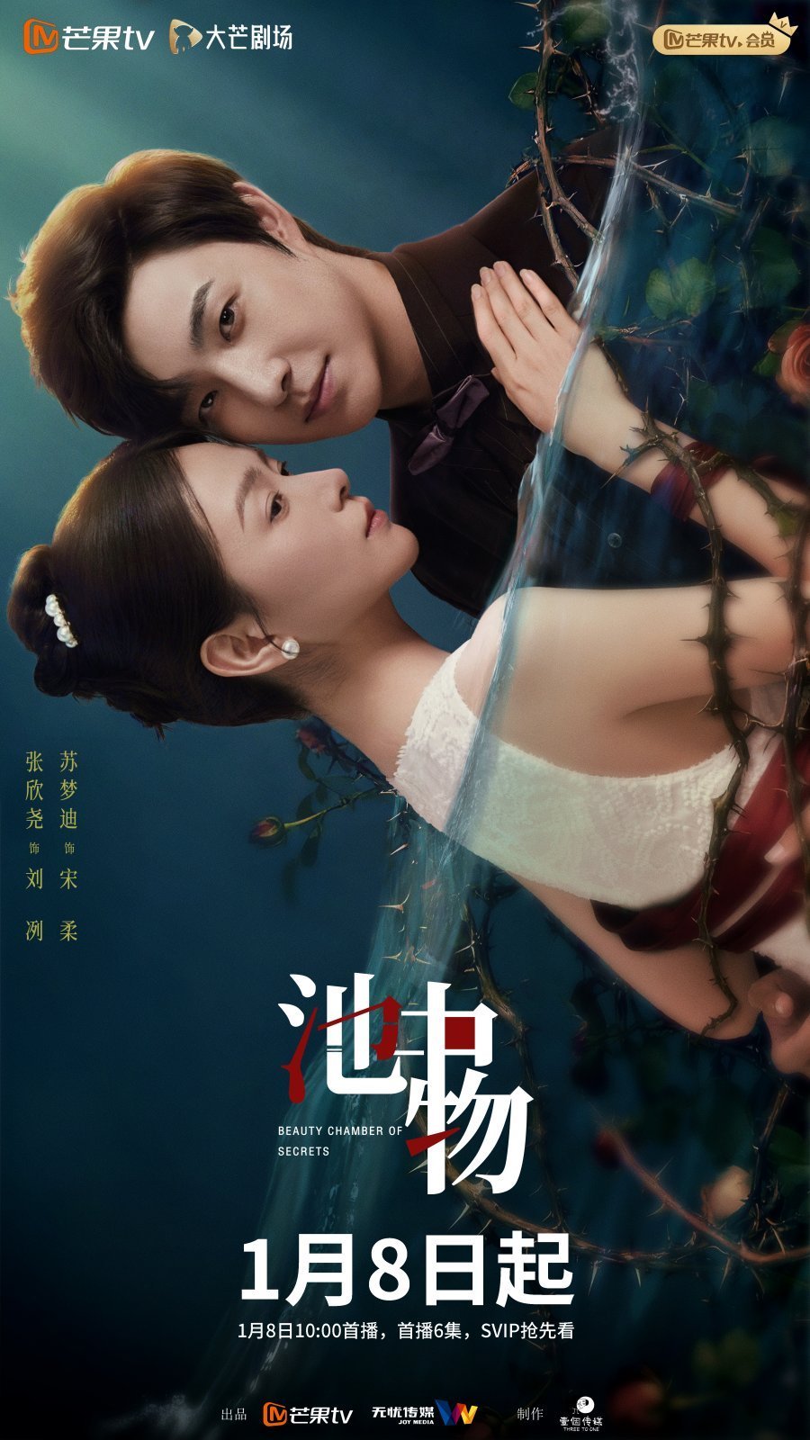 Тайная комната красоты (2026)