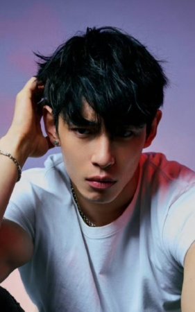 Чжан Цзюнь Я / Zhang Jun Ya