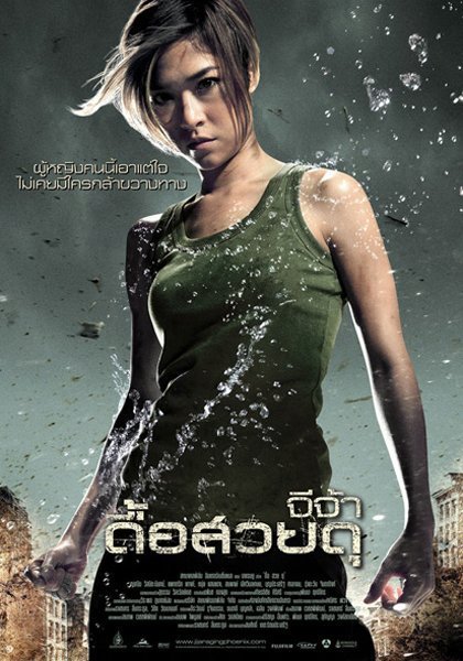 Феникс в ярости (2009)