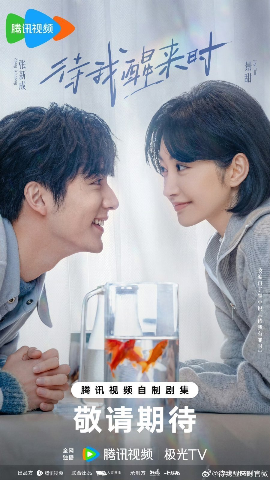 Когда я проснусь (2026)