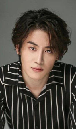 Ло Цзюнь Фань / Luo Jun Fan