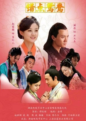 Ошибка идеального незнакомца (2012)