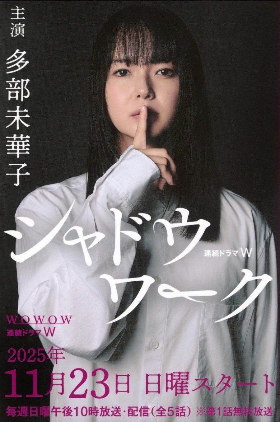 Работа в тени (2025)