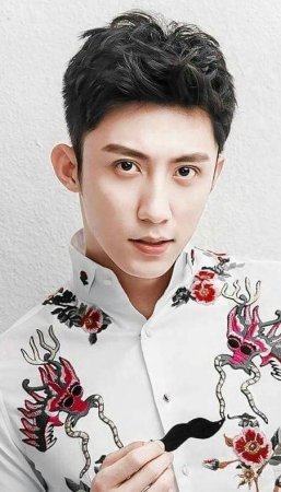 Хуан Цзин Юй / Huang Jing Yu