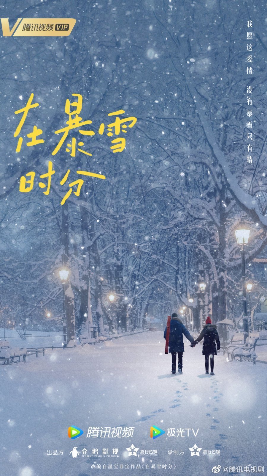 Во время снежной бури (2024)