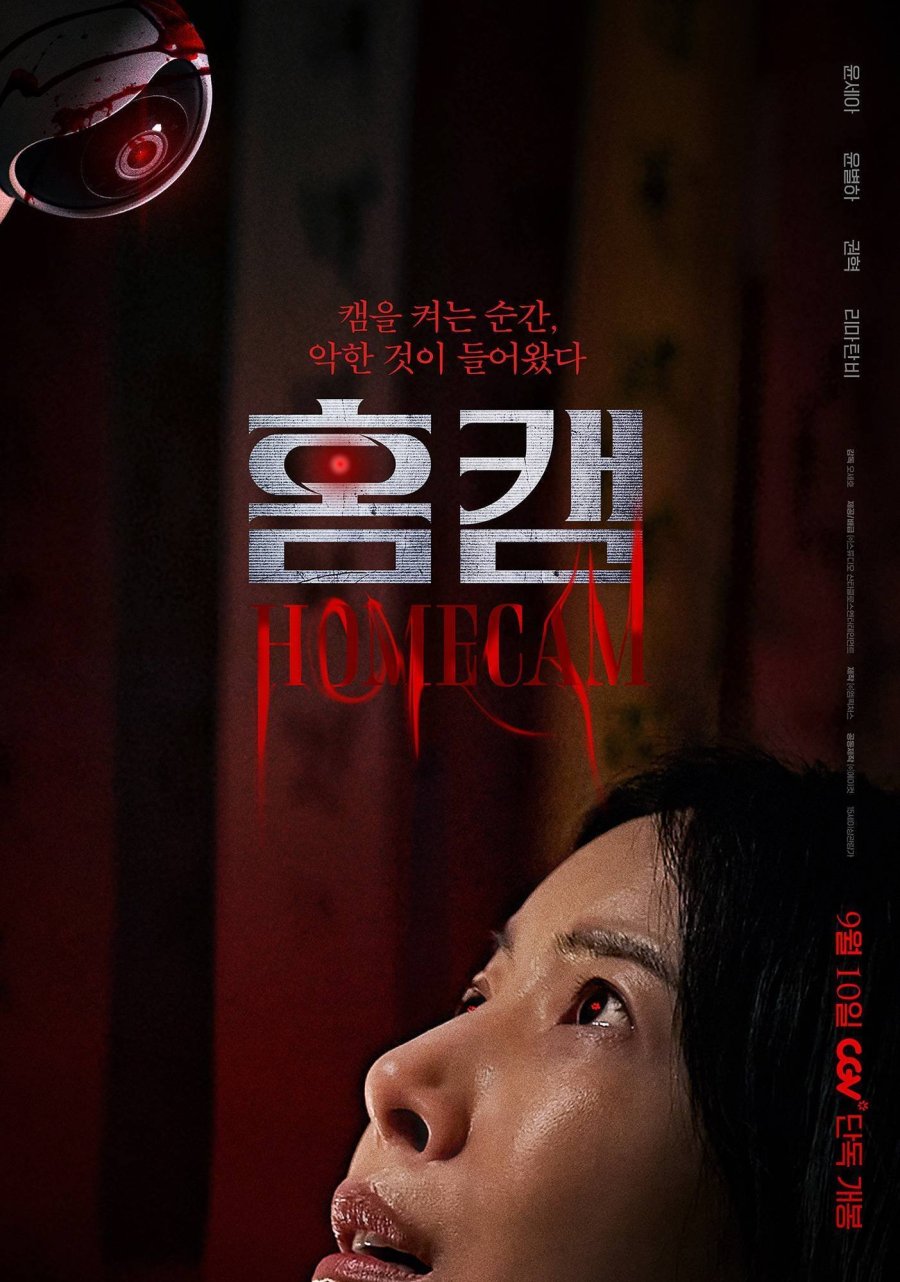 Домашняя камера (2025)