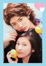 Последняя Золушка (2013)