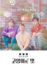 Кошачий бар (2018)