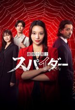 Адвокат-паук по бракоразводным процессам (2024)