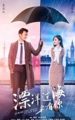 Через океан, чтобы увидеть тебя (2017)