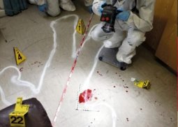 ЕХО… Маленькая жизнь, прожитая зря…