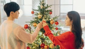 Новогодние дорамы