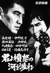 Опасная погоня (1976)