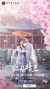 Тайный страж с красными рукавами (2023)