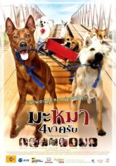 Дорожная банда «4 лапы» (2007)