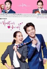 Влюбленный адвокат по разводам (2015)