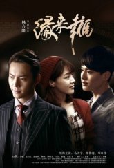 Счастье предрешено (2016)