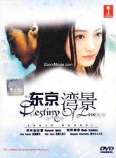 Токийский залив (2004)