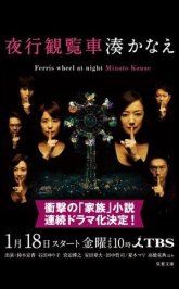 Ночное колесо обозрения (2013)