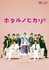Мерцание светлячков 2 (2010)