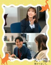 Кот моего бывшего (2026)