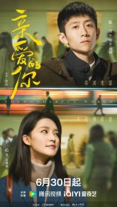 Мир прекрасен (2025)