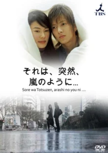 Это было внезапно, словно шторм (2004)