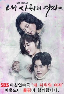 Девушка моего зятя (2016)