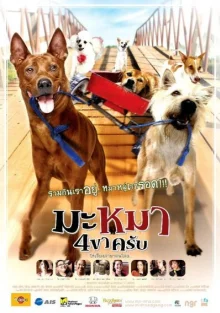 Дорожная банда «4 лапы» (2007)