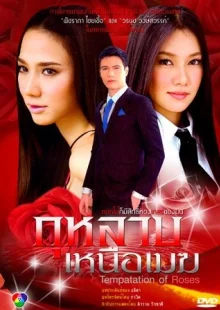 Розы над облаками (2009)