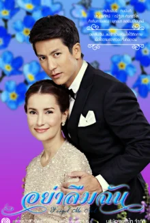 Не забывай меня (2014)