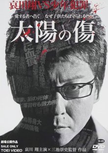 Солнечные шрамы (2006)
